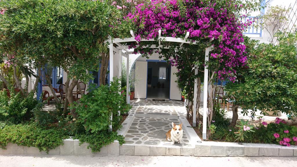 Hotel Panorama Paros Exterior foto